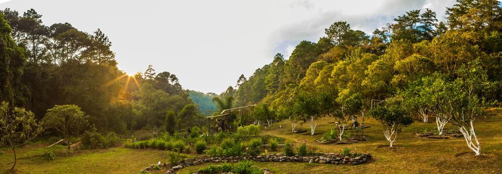 Отель El Tular Santuario Natural Сан-Хосе-Пинула Экстерьер фото
